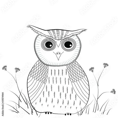 Little owl, painted in bright colors. Bird family owl. Figure funny birds. Coloring for painting.