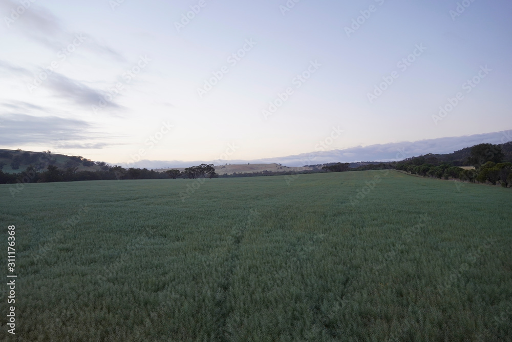 Avon Valley Landscapes