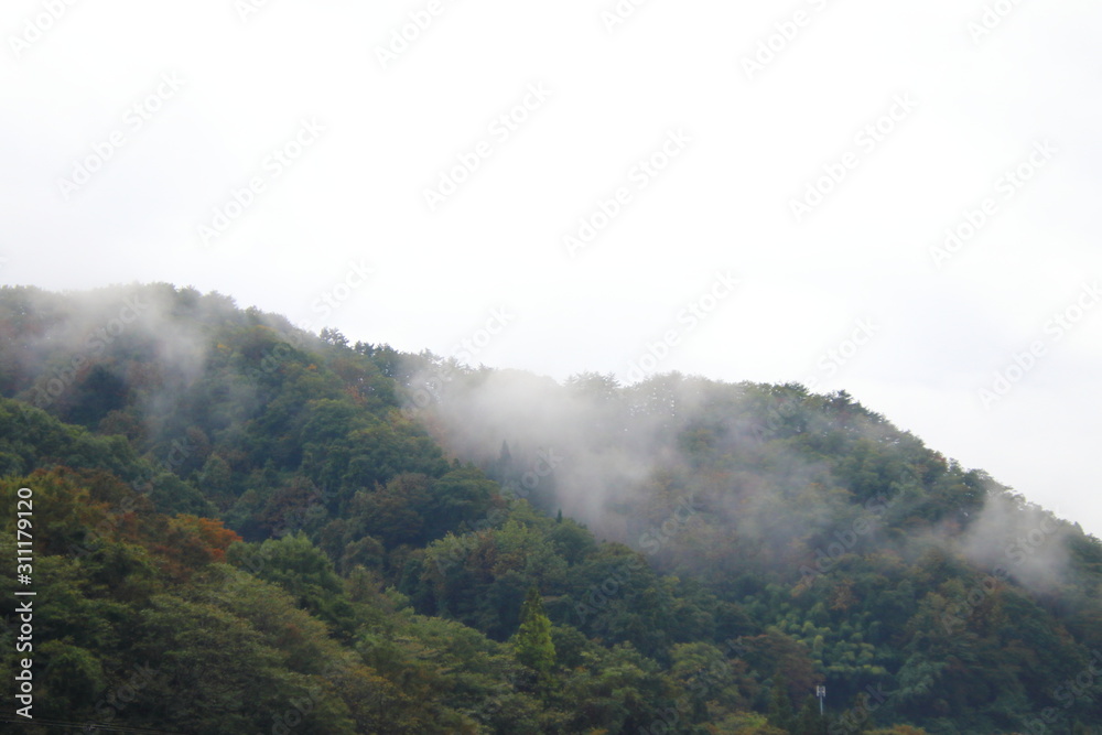 霧に包まれる山の景色