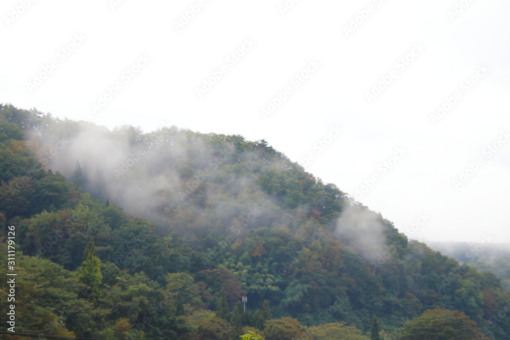 霧に包まれる山の景色