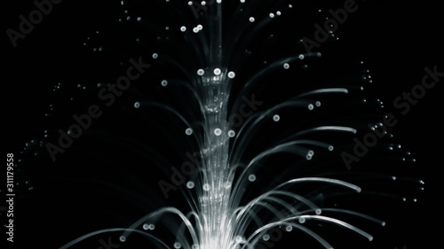 Blur the bokeh from the tree. LED lights use line drawing methods to create color, shape.