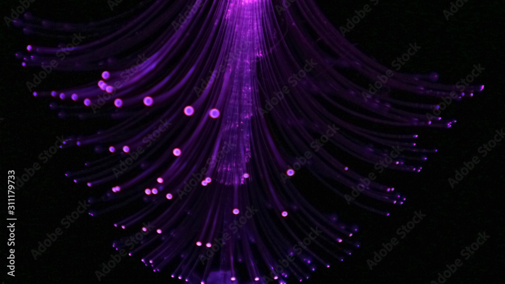 Fototapeta premium Christmas LED Tree Blur Image In Winter Night Light With Various Colors