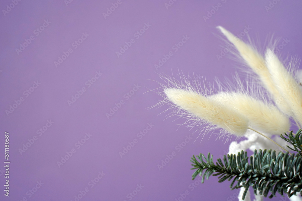 Abstract flowers and fir branch on purple background. Space for text