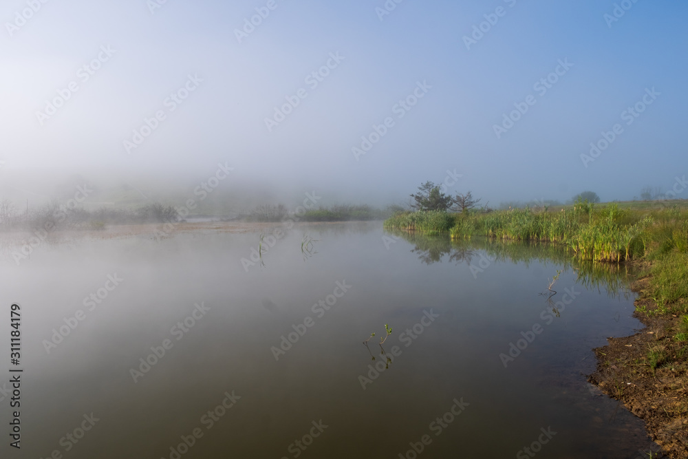 A mountain lake surrounded by sedge and other lake plants