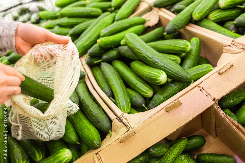 Shopping at the supermarket. The girl in the store picks cucumbers in the vegetable department. A healthy and balanced diet.