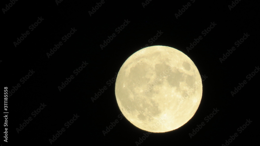 Naklejka premium Full moon