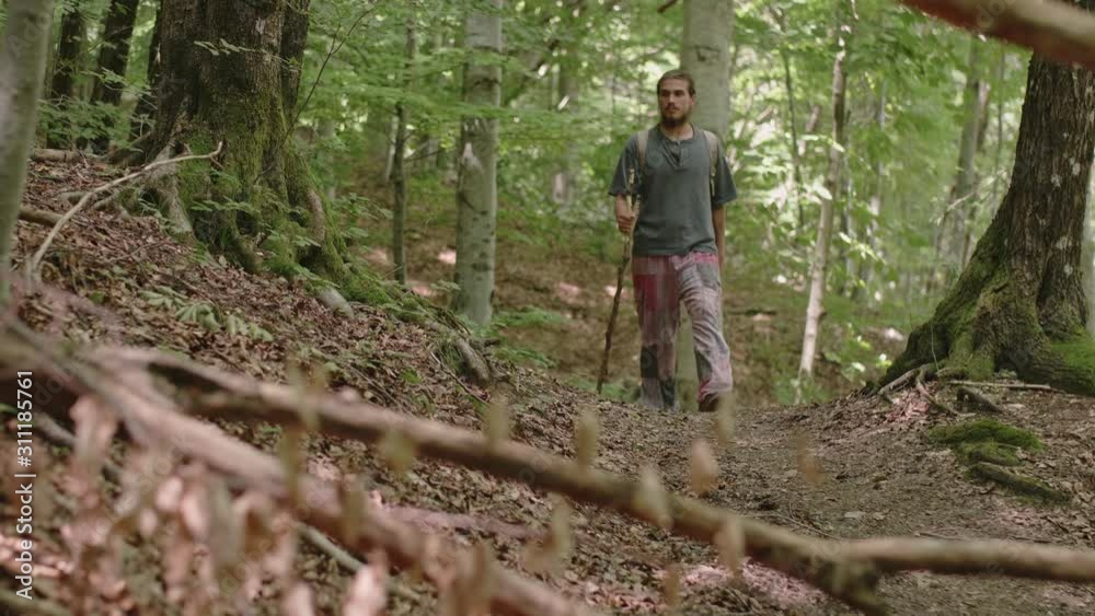Sliding shot of a man walking through a forest with a walking stick