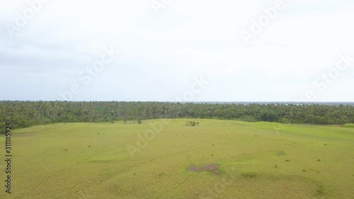 Aerial drone video, in the plain of Vichada - Colombia, near the Meta river. photo