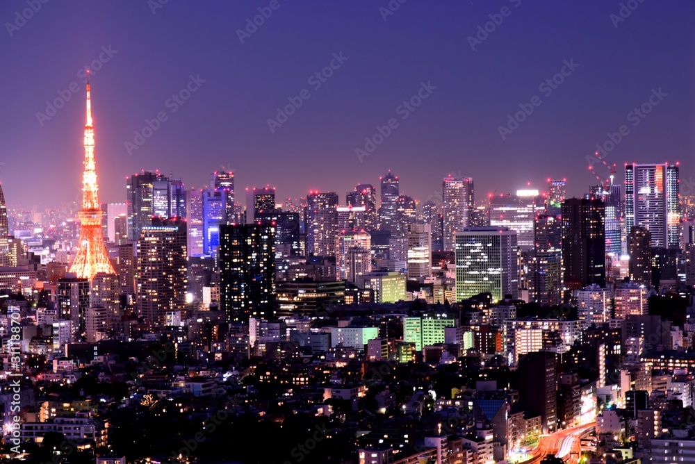 Fototapeta premium Wgląd nocy Tokio