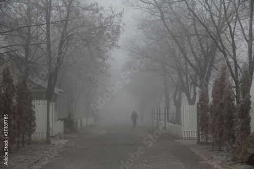 road in the forest