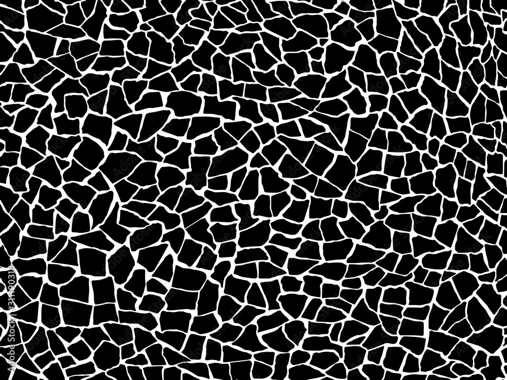 The cracks texture white and black. Vector background.Cracked earth. Structure of cracking. shards The cracks texture white and black. Vector background.Cracked earth. Structure of cracking. shards