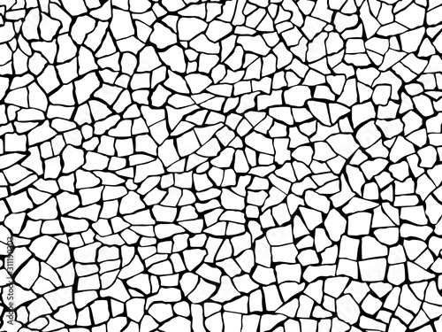 The cracks texture white and black. Vector background.Cracked earth. Structure of cracking. Cracks in dry surface soil texture. shards