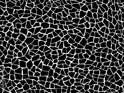 The cracks texture white and black. Vector background.Cracked earth. Structure of cracking. shards