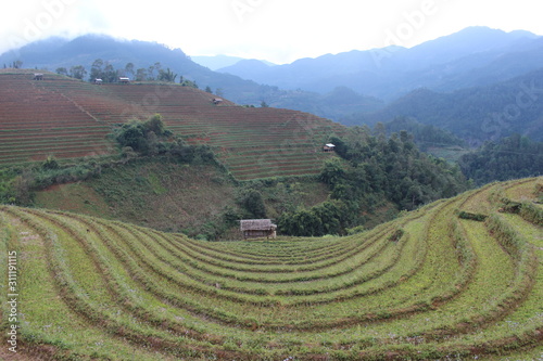 Cao Bang