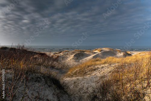 Dunes by Baltic sea in winter, Liepaja, Latvia.
