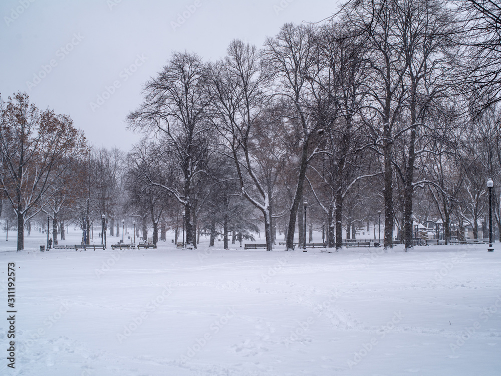 A Deserted Boston Common During a Snow Storm