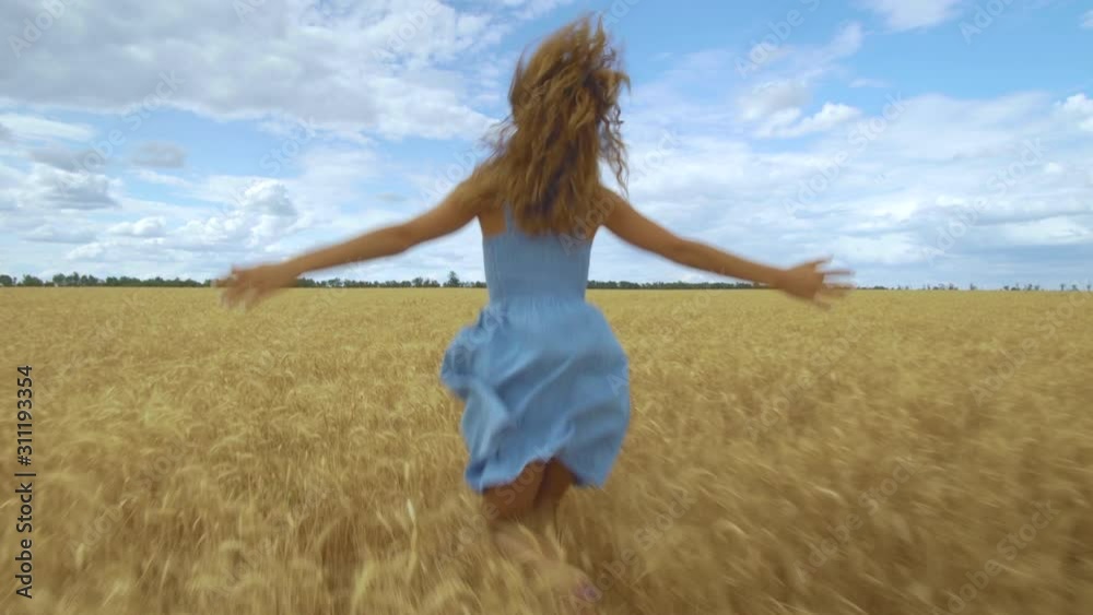 Rear view of young carefree woman in dress. She run in through field touching with hand wheat ears, enjoying freedom and calmness on rural nature in summer. Rear view of young carefree woman in dress. She run in through field touching with hand wheat ears, enjoying freedom and calmness on rural nature in summer.
