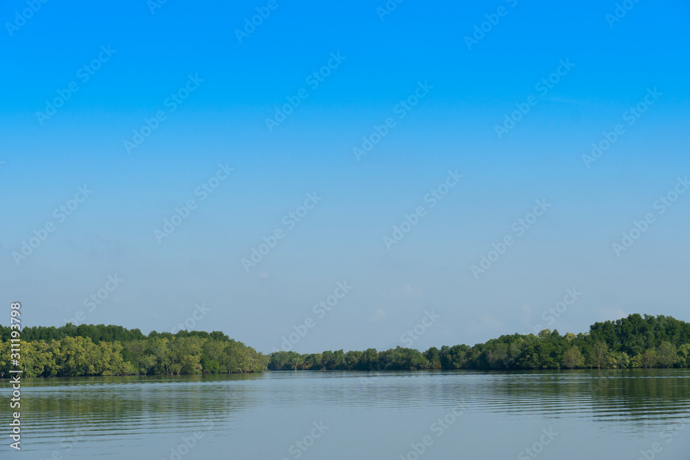 A large river with a mangrove forest as a backdrop under the blue sky. At Shrine of king Taksin  Chanthaburi Thailand.
