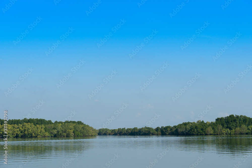 A large river with a mangrove forest as a backdrop under the blue sky. At Shrine of king Taksin Chanthaburi Thailand. A large river with a mangrove forest as a backdrop under the blue sky. At Shrine of king Taksin Chanthaburi Thailand.