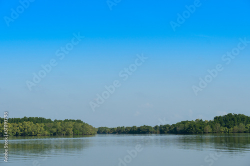 A large river with a mangrove forest as a backdrop under the blue sky. At Shrine of king Taksin Chanthaburi Thailand.