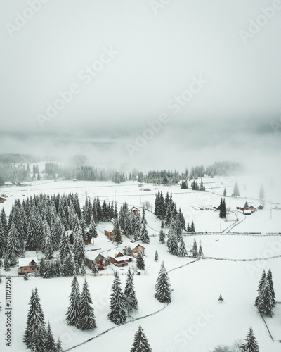 Snow over the trees from aerial drone view © razvanli