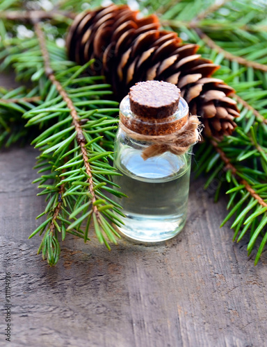 Fir needle essential oil in a glass bottle and green coniferous tree branches with cones.Spruce aroma oil for spa,aromatherapy and bodycare.Selective focus.