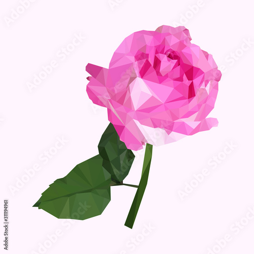 geometric polygonal pink rose with stalk, isolated polygon vector flower illustration