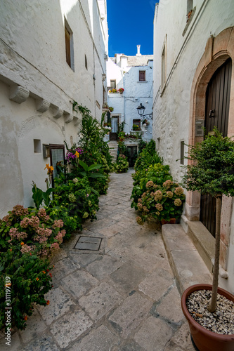 Scenic sight, street view from the beautiful town of Locorotondo, Bari province, Apulia, Puglia , Southern Italy. Narrow whitewashed residential pedestrian street with several potted blooming flowers