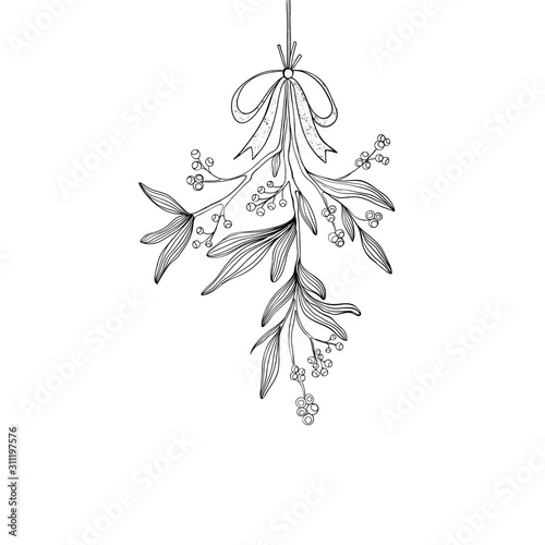 Fotografia Vector Hand drawn christmas mistletoe outline illustration