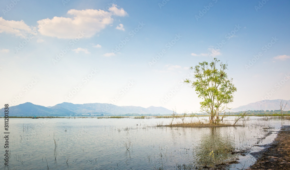 Landscape tree grow in reservoir and blue sky with mountain back. Landscape tree grow in reservoir and blue sky with mountain back.