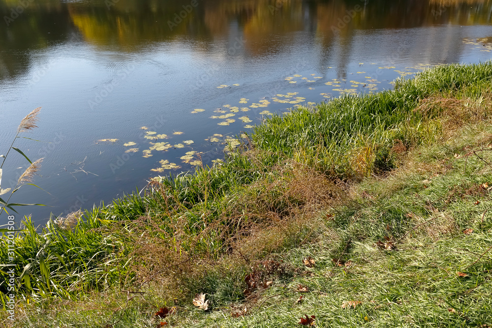 The shore of the lake in the Goclaw district The shore of the lake in the Goclaw district