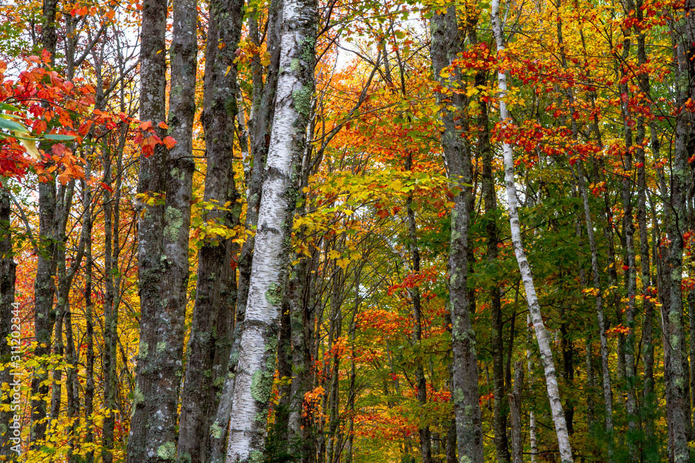Acadia National Park fall hiking Acadia National Park fall hiking