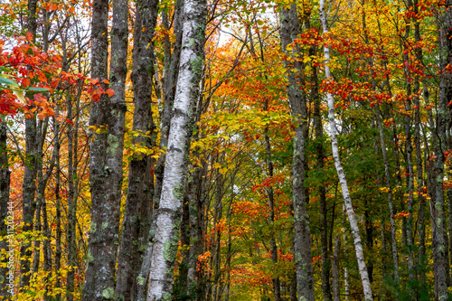 Acadia National Park fall hiking