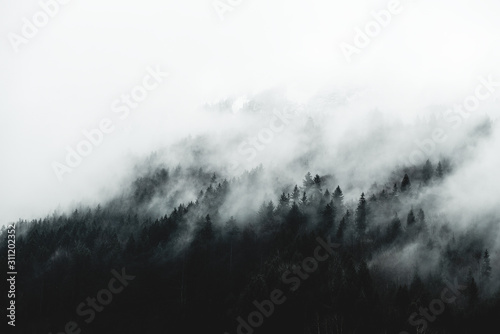 mroczny-krajobraz-gorskiego-lasu-za-mgla