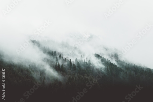 mroczny-gorski-krajobraz-z-mgla-nad-lasem