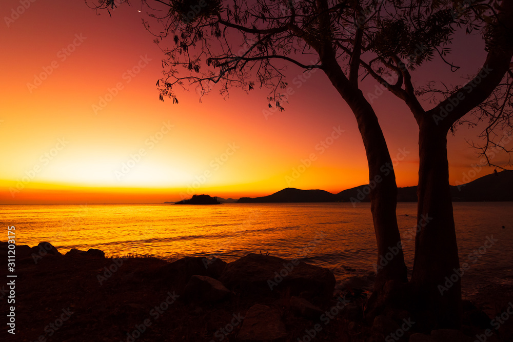 Silhouette beach, tree and mountain with sunset, sunrise. Seascape background.