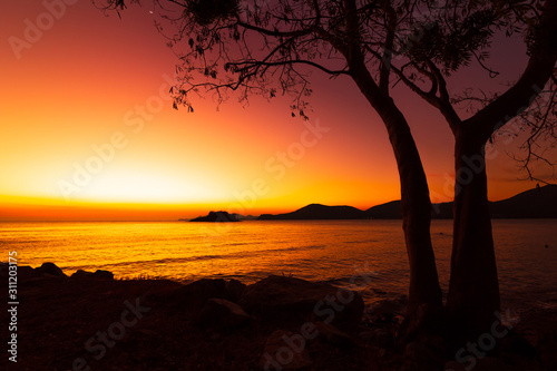 Silhouette beach  tree and mountain with sunset  sunrise. Seascape background.
