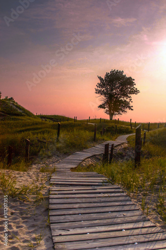 wooden plank path to a tree at sunrise