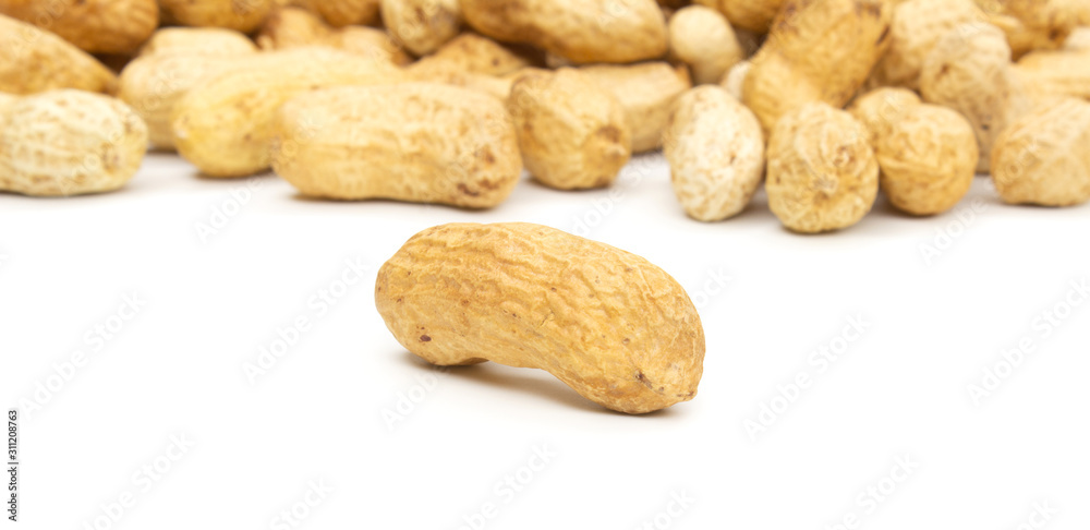 nicely laid out peanuts on a white isolated background nicely laid out peanuts on a white isolated background