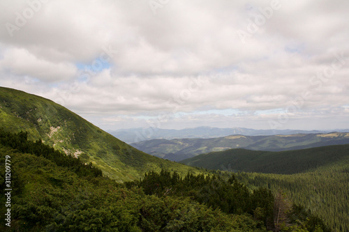 Hoverla Mountain on a summer sunny day, Carpathians, Ukraine