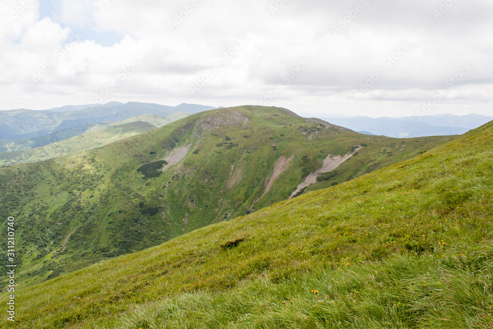 Fototapeta premium Hoverla Mountain on a summer sunny day, Carpathians, Ukraine