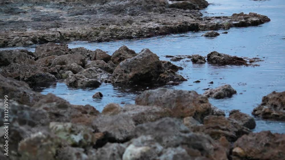 Waves wash the rocky shore. Waves wash the rocky shore.