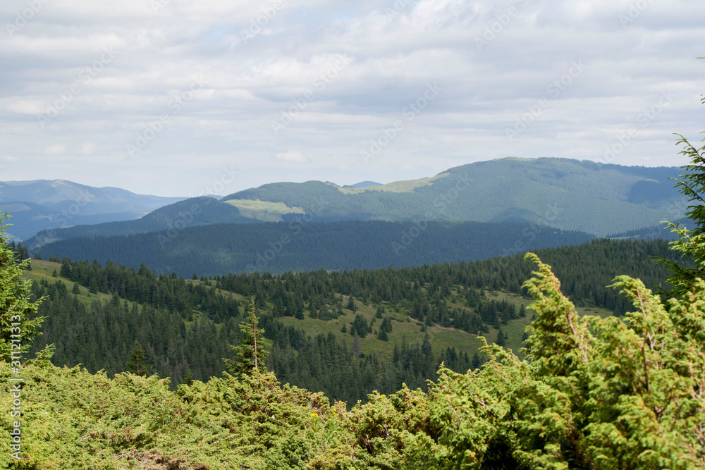 green forest, mountains, clouds in the Carpathians, Ukraine green forest, mountains, clouds in the Carpathians, Ukraine