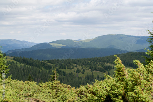 green forest, mountains, clouds in the Carpathians, Ukraine