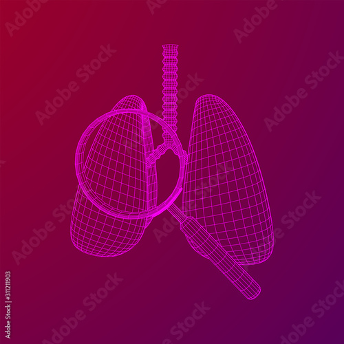 Lungs with trachea bronchi internal organ human with magnifying glass. Pulmonology medicine science analysis concept. Wireframe low poly mesh vector illustration