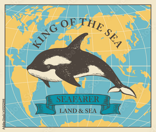 Vector banner with hand-drawn killer whale on the background of map in retro style. Illustration on the theme of travel, adventure and discovery with words King of the sea