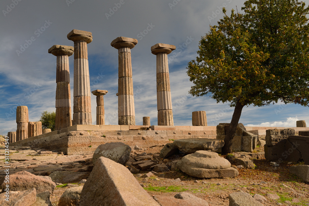 Doric column ruins of the temple of Athena with Quince tree at Assos Behramkale Turkey