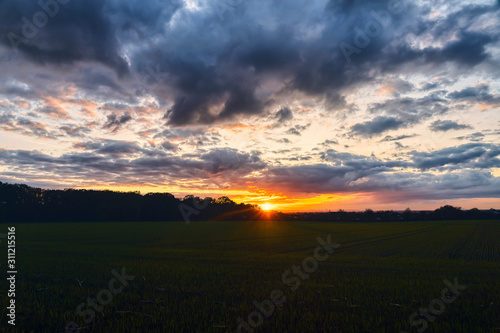 beautiful sunset over a meadow with dramatic sky