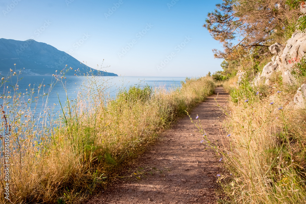 A path along the sea. Sunny summer landscape in Montenegro A path along the sea. Sunny summer landscape in Montenegro