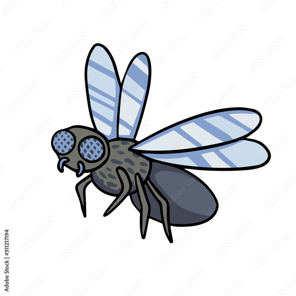 Insect fly. Vector cartoon illustration line drawing Stock Vector | Adobe  Stock